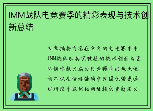IMM战队电竞赛季的精彩表现与技术创新总结