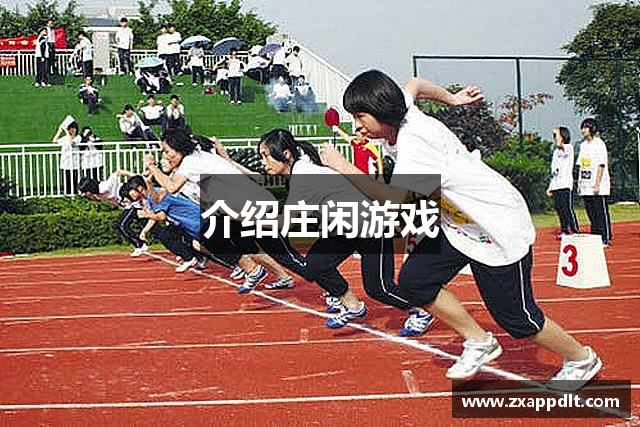 介绍庄闲游戏